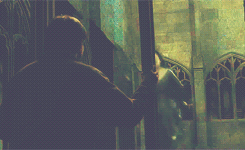 http://www.harry-potter.net.pl/images/articles/helena_ravenclaw6.gif