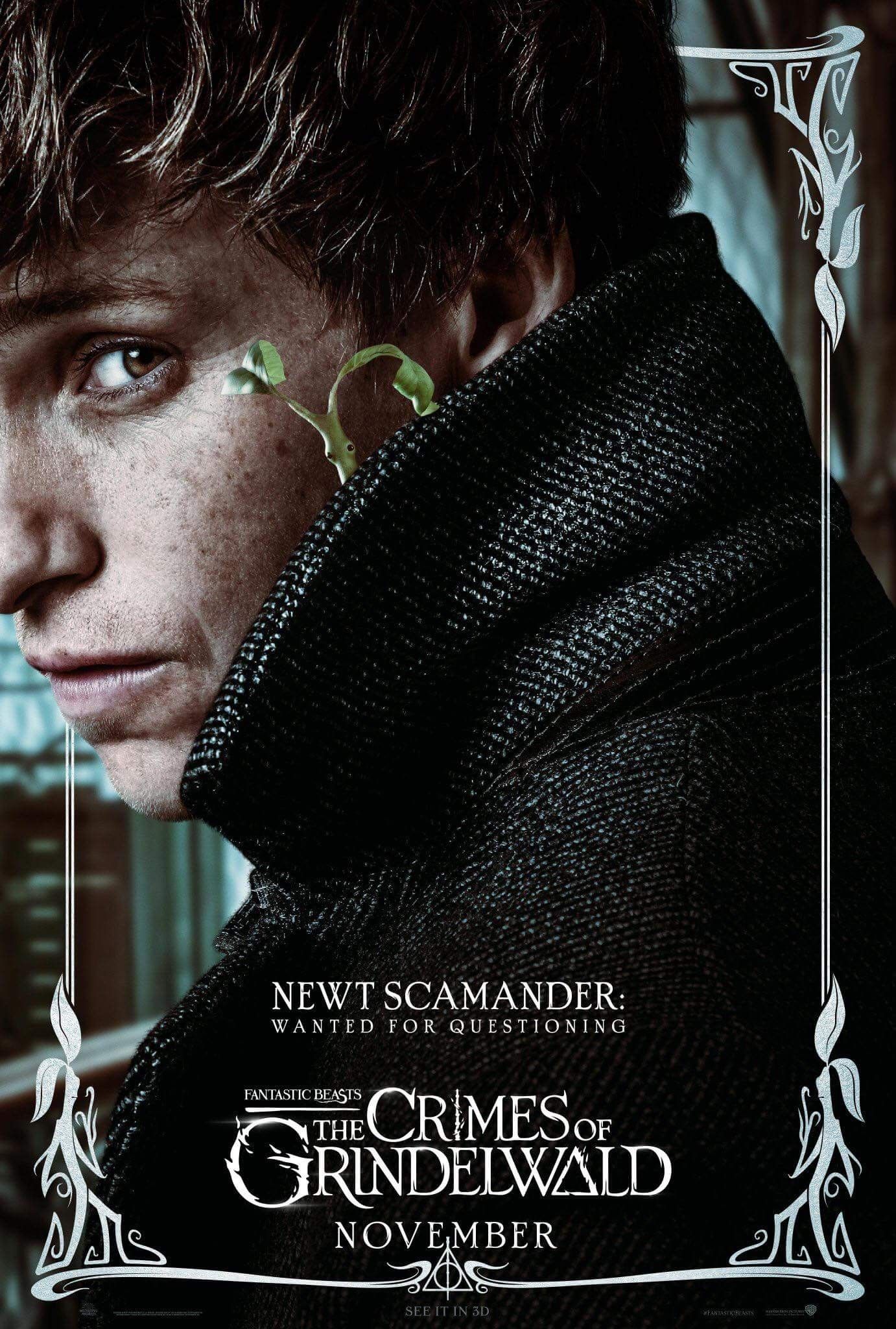 http://www.harry-potter.net.pl/images/photoalbum/album_285/plakat_newt_t2.jpg