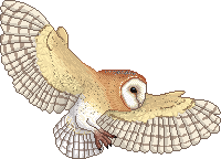 http://www.harry-potter.net.pl/images/articles/sowy1.png