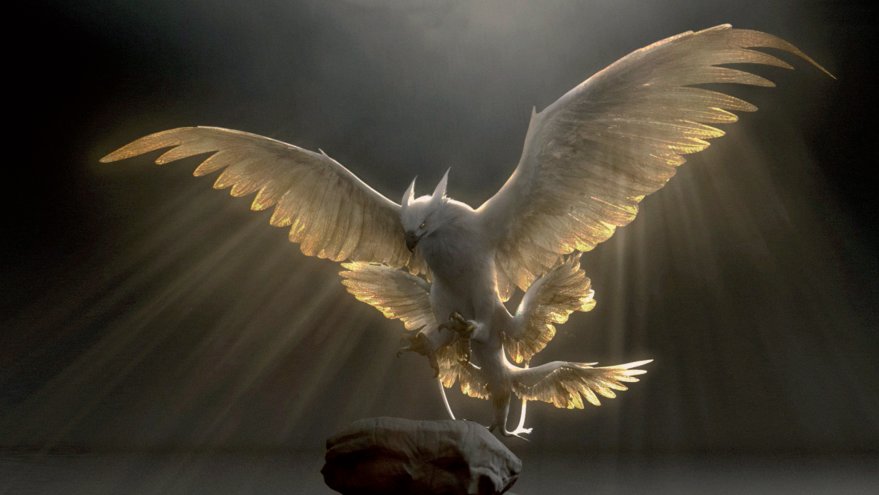 http://www.harry-potter.net.pl/images/articles/thunderbird_concept_art.jpg
