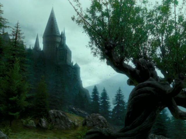 http://www.harry-potter.net.pl/images/articles/wierzba1.jpg