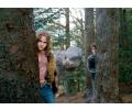 Hermiona, Hardodziob i Harry