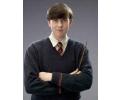 Neville Longbottom2