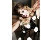 Trwa �adowanie zdj�cia...
