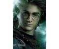 Harry Potter i Czara Ognia
