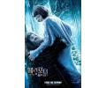 Hagrid i Madame Maxime