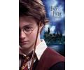 Harry Potter and Prisoner of Azkaban