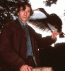1993-cormorant_t1.gif