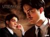 2008-little_ashes_t1.jpg