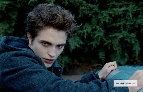 2008-twilight5.jpg