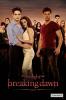 2011-breaking_dawn4_t1.jpg