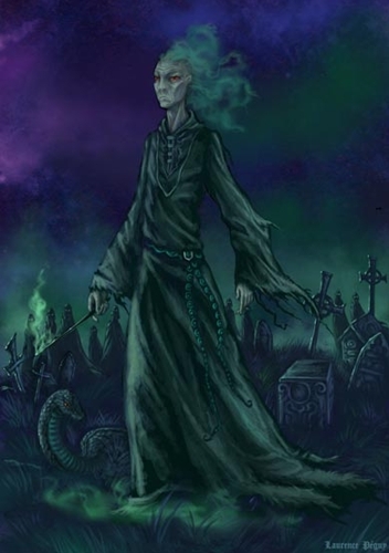 laurence-peguy-illustrations-harry-potter-13068404-352-500.jpg