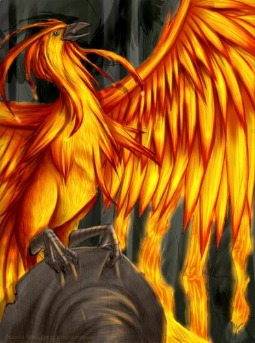 hp_fawkes_the_sorting_hat_by_wynahiros.jpg