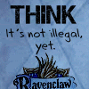 rv1.png