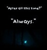 always-harry-potter-39028231-95-100.jpg