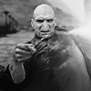 the-deathly-hallows-pt-2-harry-potter-38401371-100-100.jpg