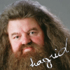 hagrid_7.gif