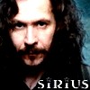 sirius_black_ordinary_avatar_by_barborush.jpg