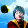 w313huntharryquidditch_t1.png