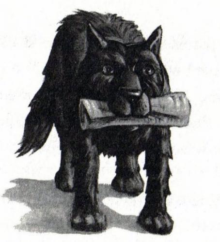hp_i_co_27.jpg