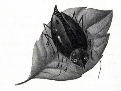 hp_i_co_37.jpg