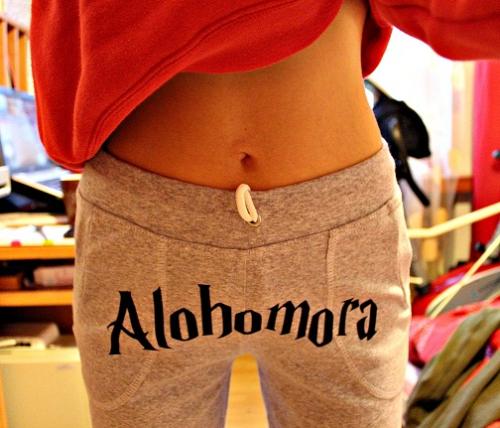 alohomora_2.jpg