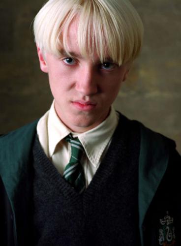 x_studio_15draco.jpg