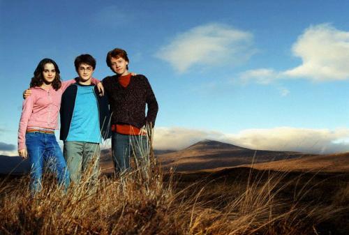 x_studio_levens_trio_field.jpg