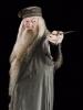 albus-dumbledore-and-harry-potter-dumbledores-wand-by-noble-collection-gallery_t1.jpg