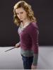 harry-potter-and-the-half-blood-prince-and-hermione-granger-gallery_t1.jpg