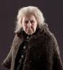 harry-potter-and-the-deathly-hallows-promo-image5_t2_t1.jpg