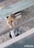 instyle-uk-clemence5_t1.jpg