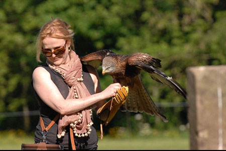 20090524-birdofprey-05.jpg
