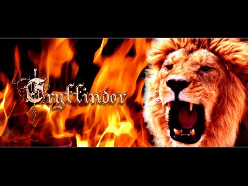 gryffindorwall001.jpg