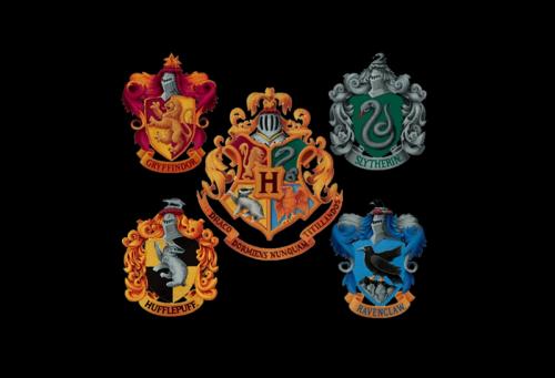 hogwarts-houses-hogwarts-7684956-1024-768.jpg
