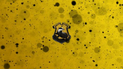 hogwarts_house_wallpaper_hufflepuff_by_theladyavatar-d5h48m6.jpg