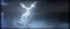 rozdzia_21_patronus_t1.jpg