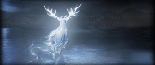 rozdzia_21_patronus.jpg