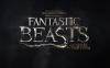 fantastic_beasts_story_647_111015052431_t1.jpg