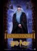 prof. Dumbledore