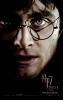 harry_potter_and_the_deathly_hallows_part_i_ver6_t1.jpg