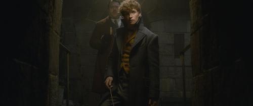 newt_scamander_i_jacob_kowalski.jpg