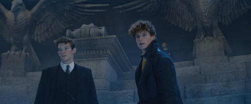 newt_scamander_i_theseus_scamander_2.jpg