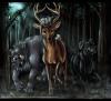 mischief_by_moonlight_hp_by_kalicothekat_t1.jpg