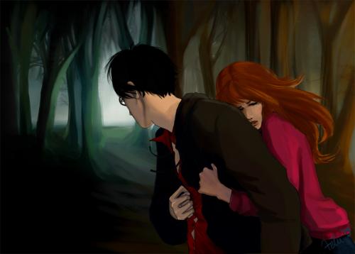 harry_and_ginny_by_baiser.jpg