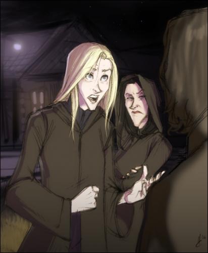 26200011_arriving_at_snape_s_crib_by_makani.jpg